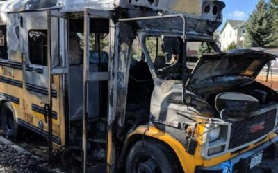 Free Tacos For Life for Information About McDevitt Bus Fire